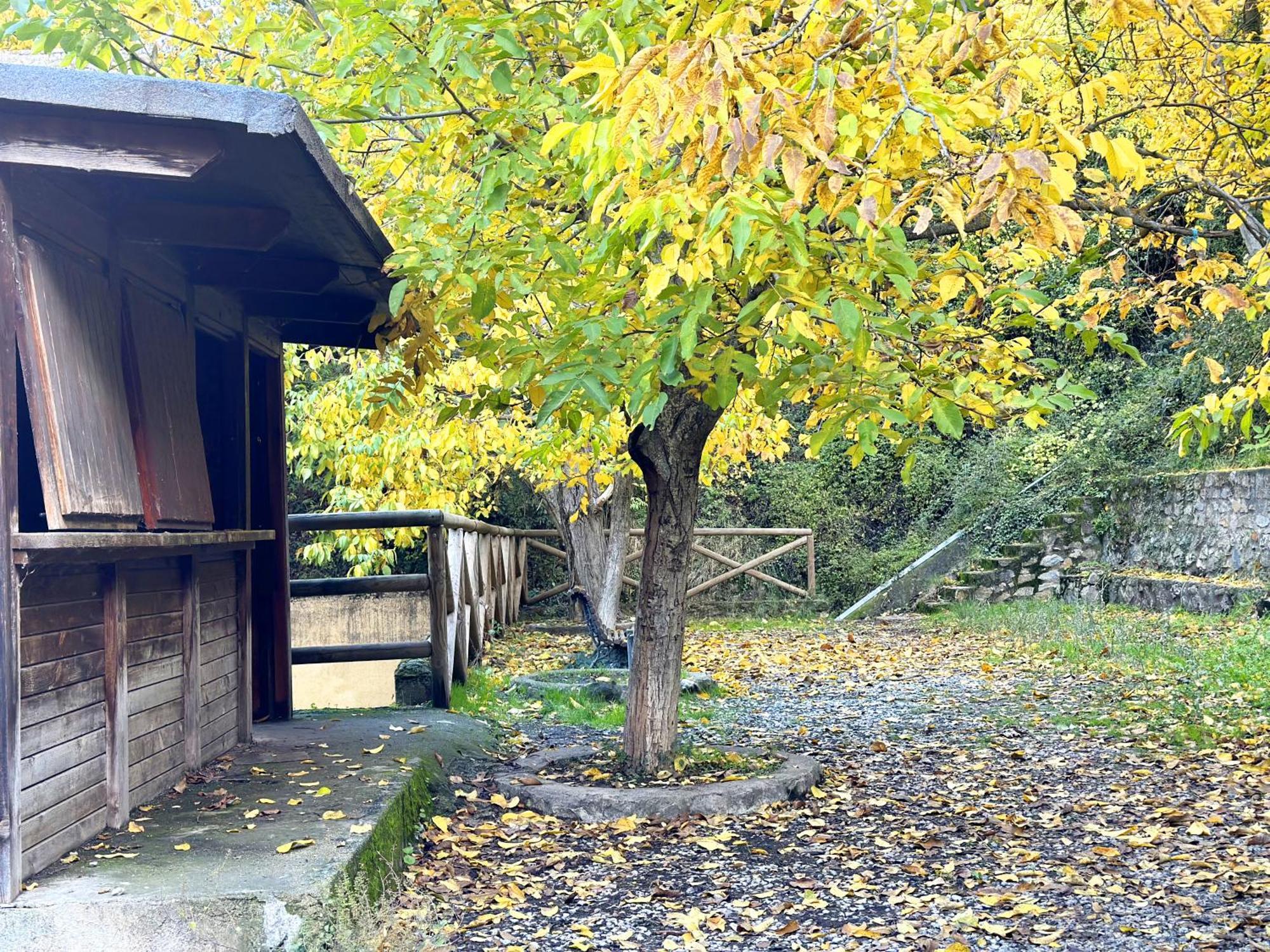 Suenos De Monachil Daire Dış mekan fotoğraf